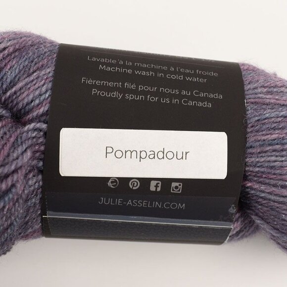 Julie Asselin Leizu Fingering Yarn SW Merino Silk 420yds Pompadour Colorway - Picture 4 of 5